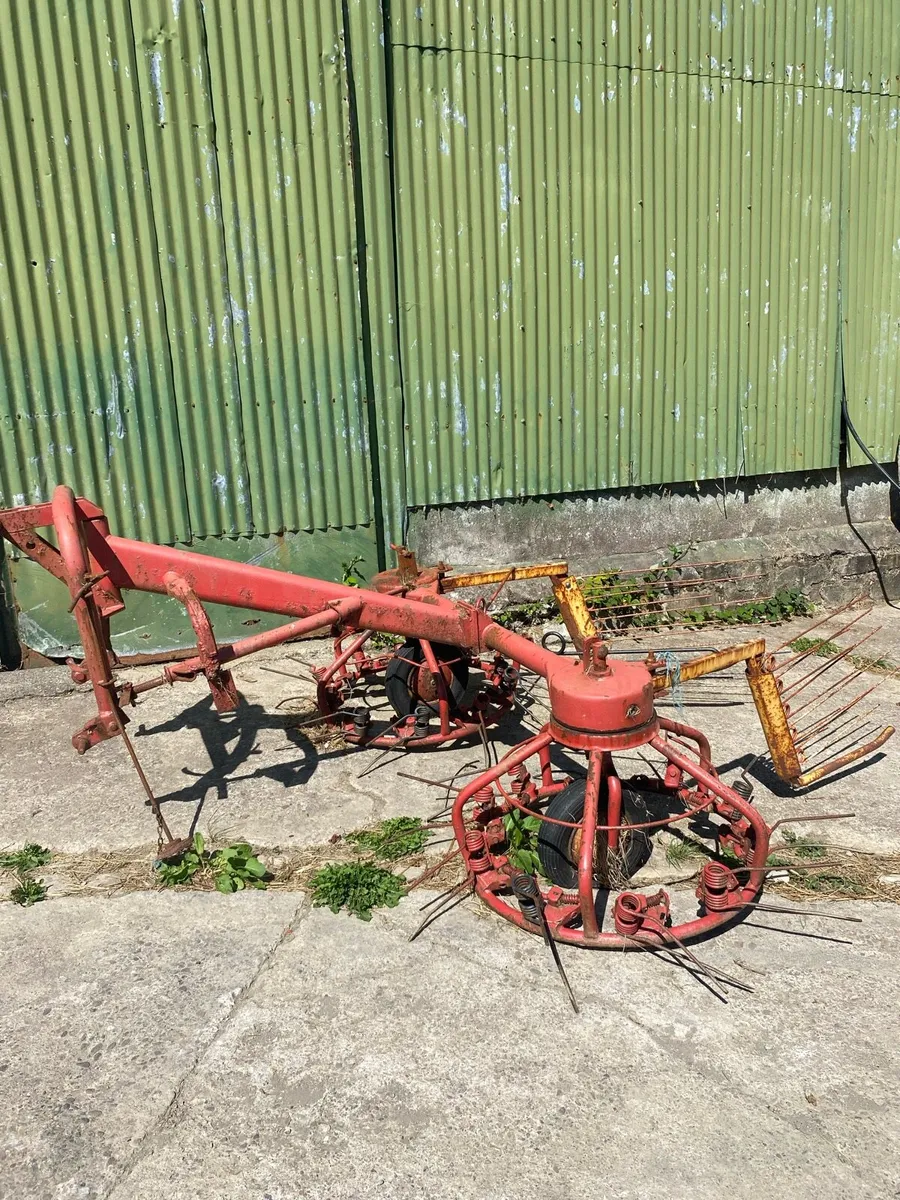 Hay bob - Image 2