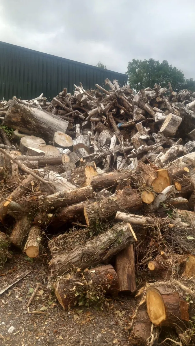 Firewood  For Sale - Image 4