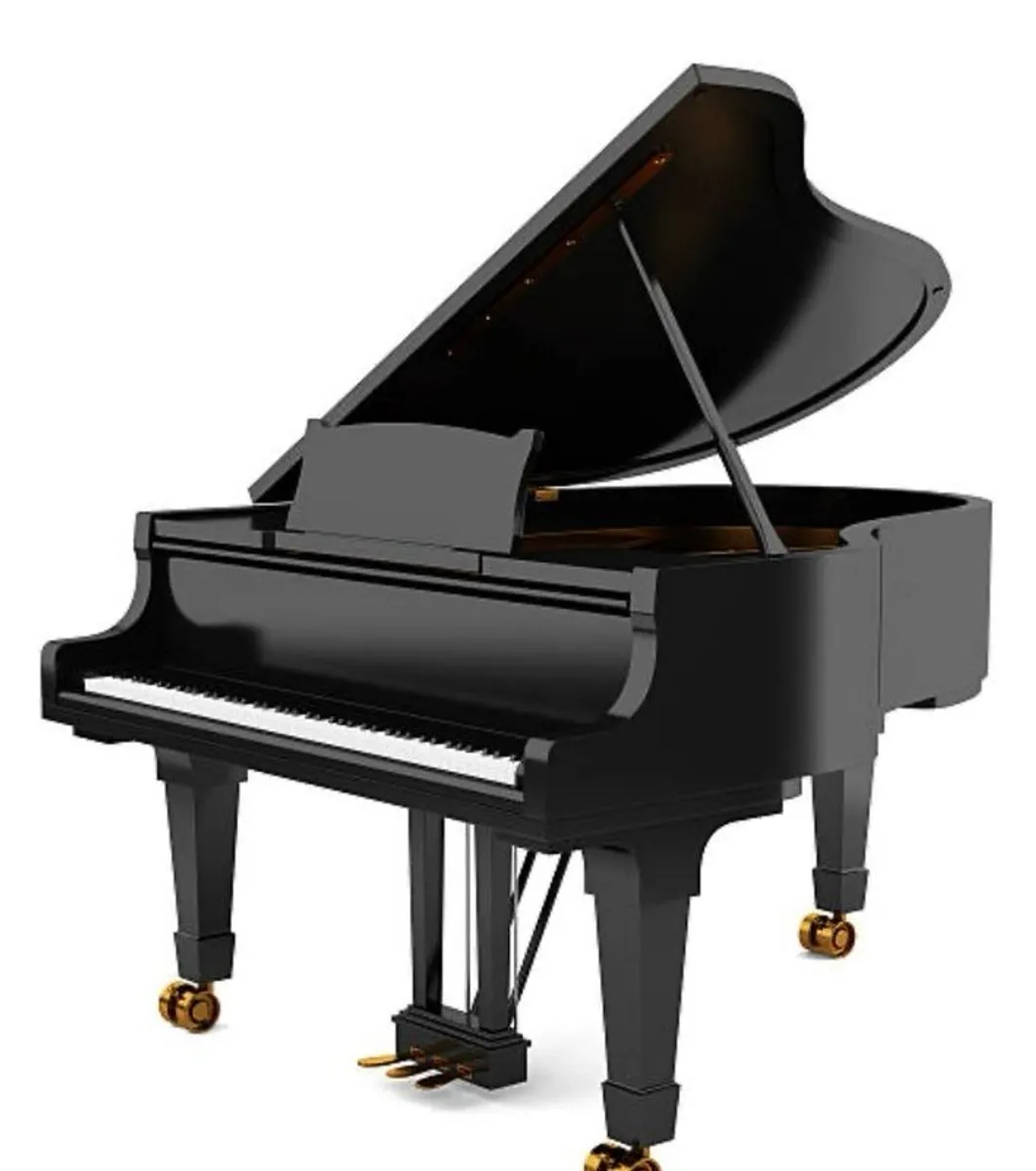 Piano Teacher - Image 1