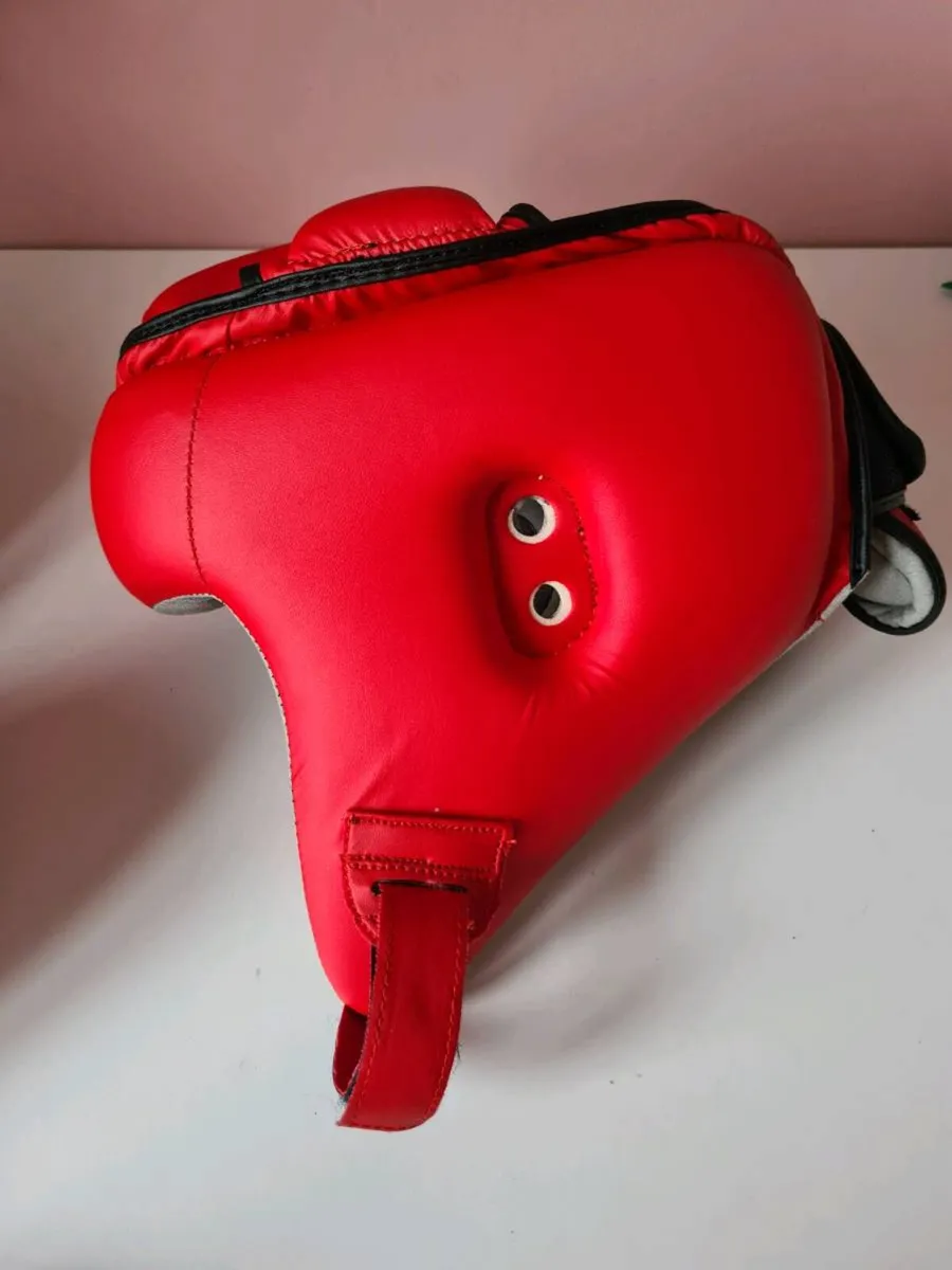 Martial Arts Sparing protection - Image 3