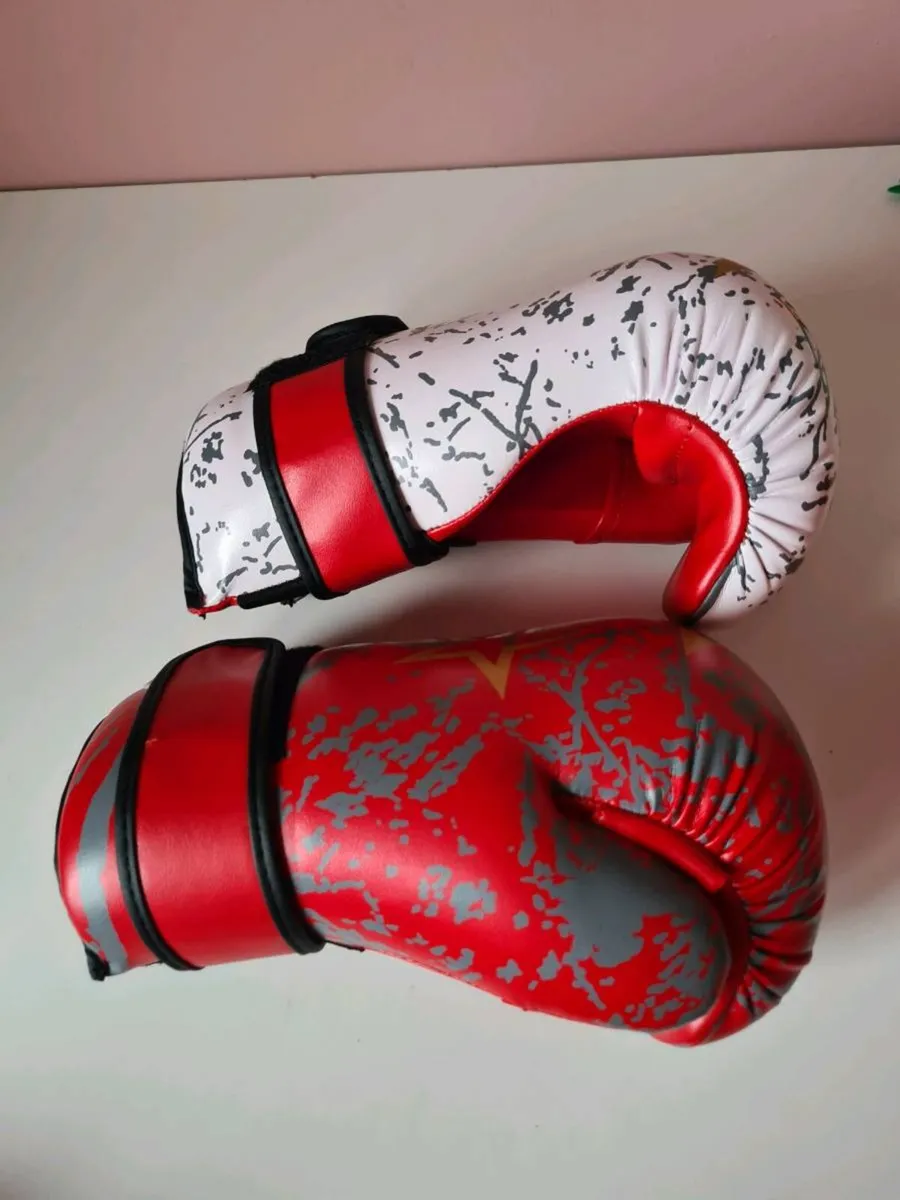 Martial Arts Sparing protection - Image 4