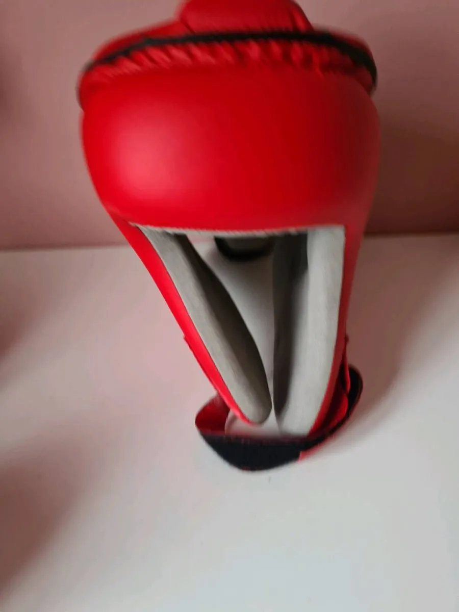 Martial Arts Sparing protection - Image 2