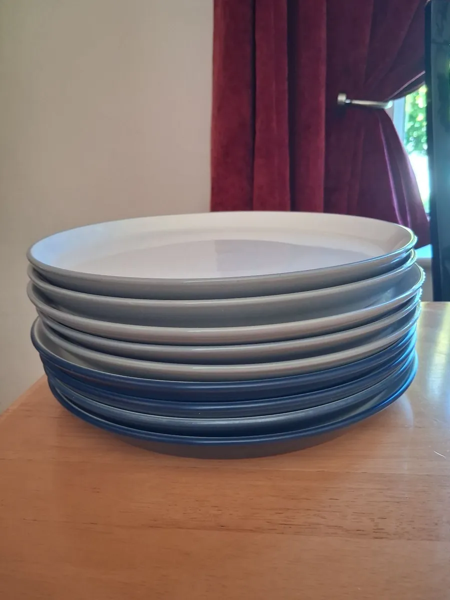 FREE large dinner plates - Image 1