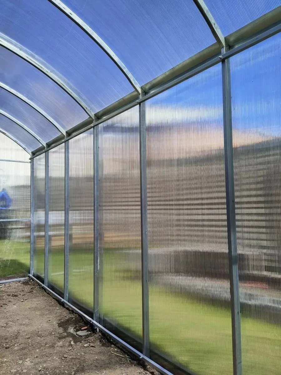SALE 15%Straight Wall 2.5 Polycarbonate Greenhouse - Image 3