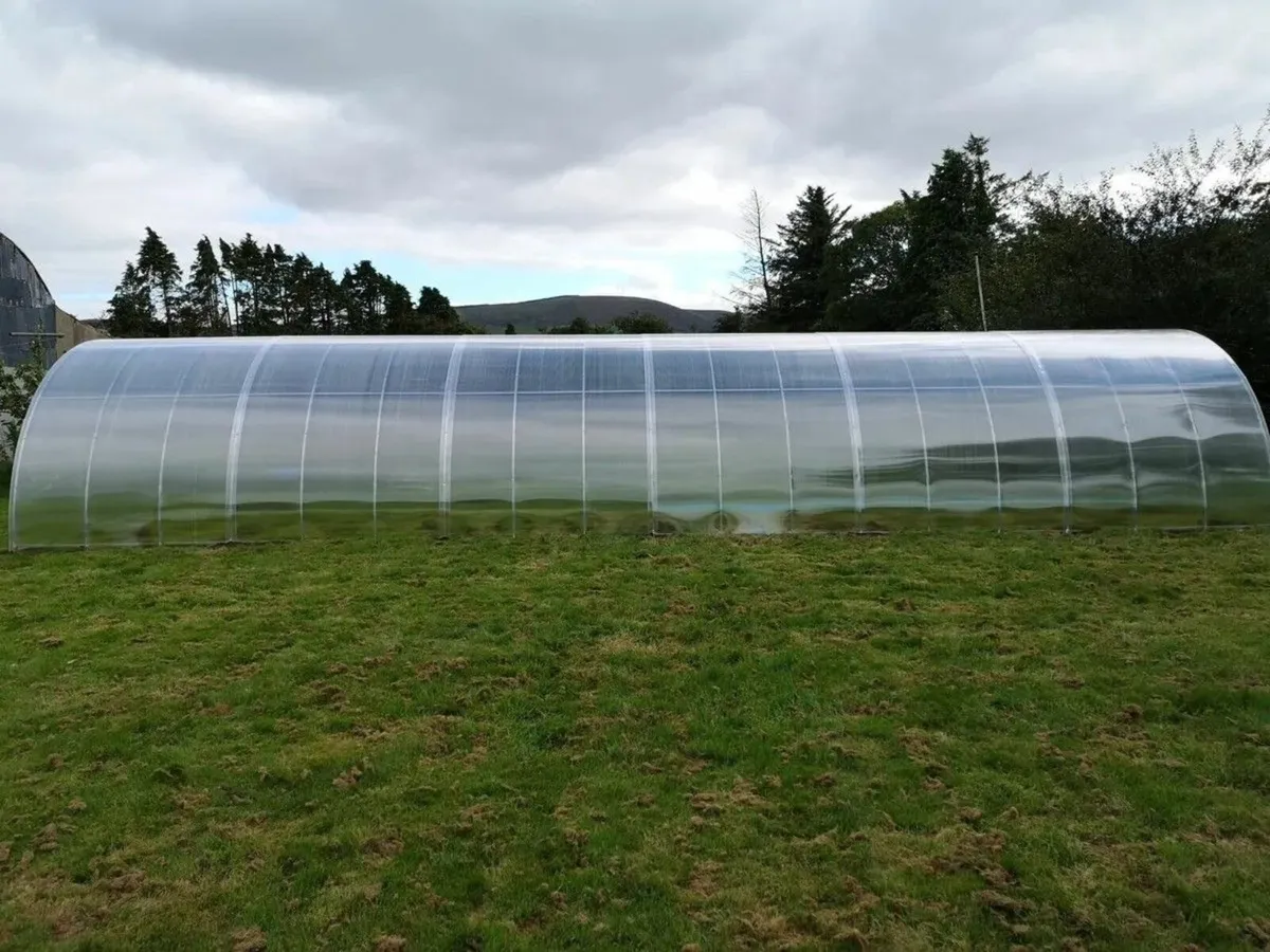 SALE TITAN 4 Polycarbonate Greenhouse/Polytunnel - Image 2