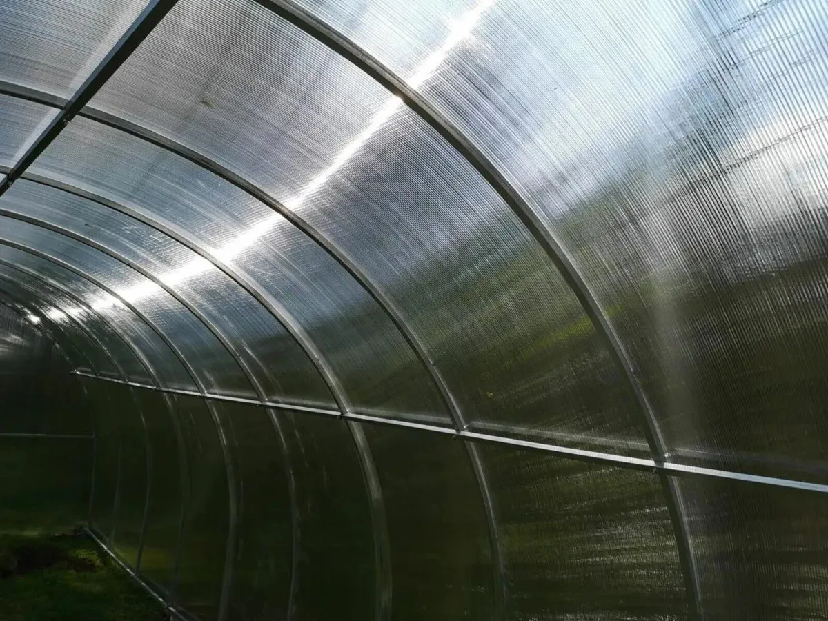SALE 15% AG Polycarbonate Greenhouse/Polytunnel - Image 2