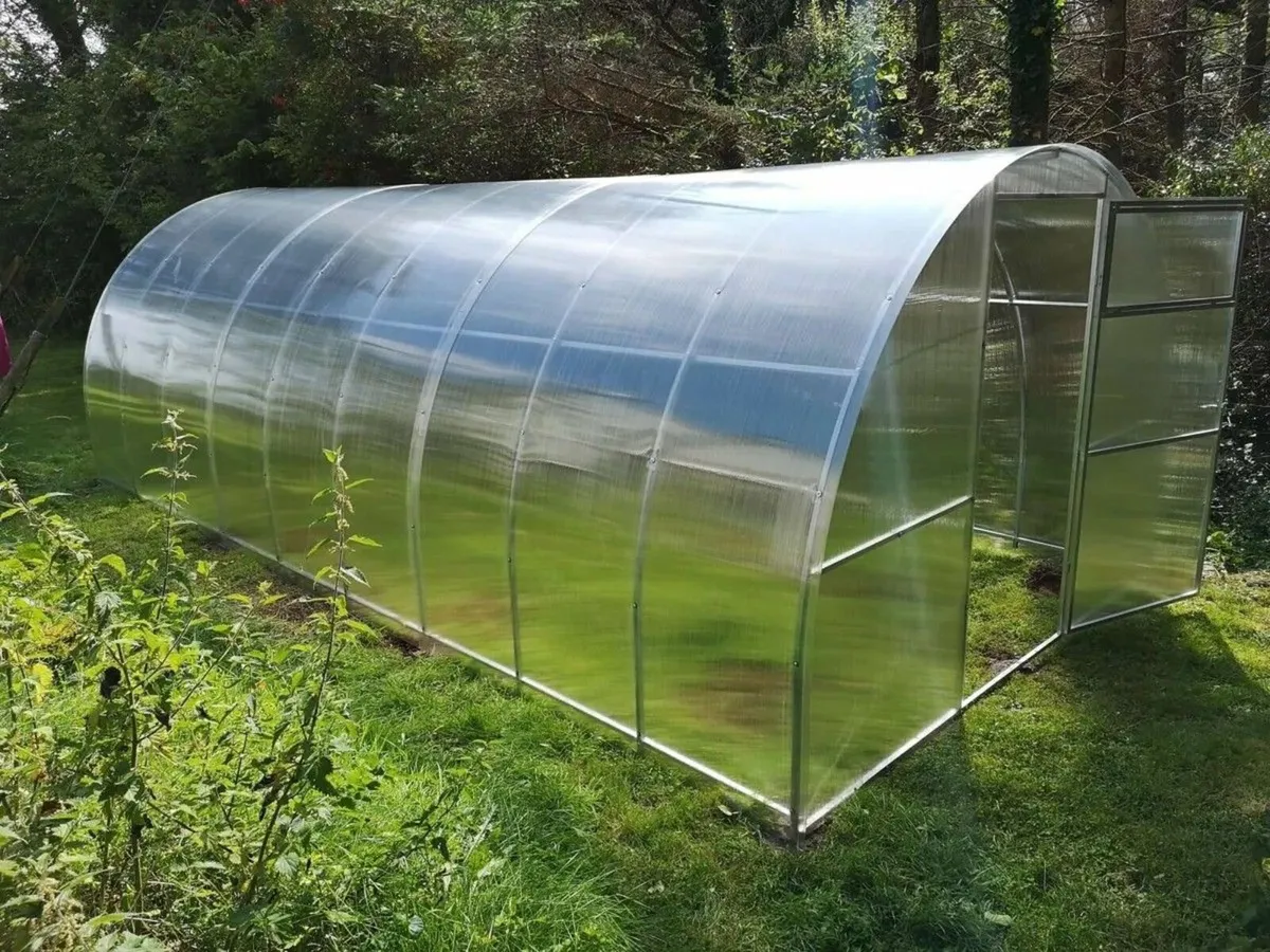 SALE 15% AG Polycarbonate Greenhouse/Polytunnel - Image 3