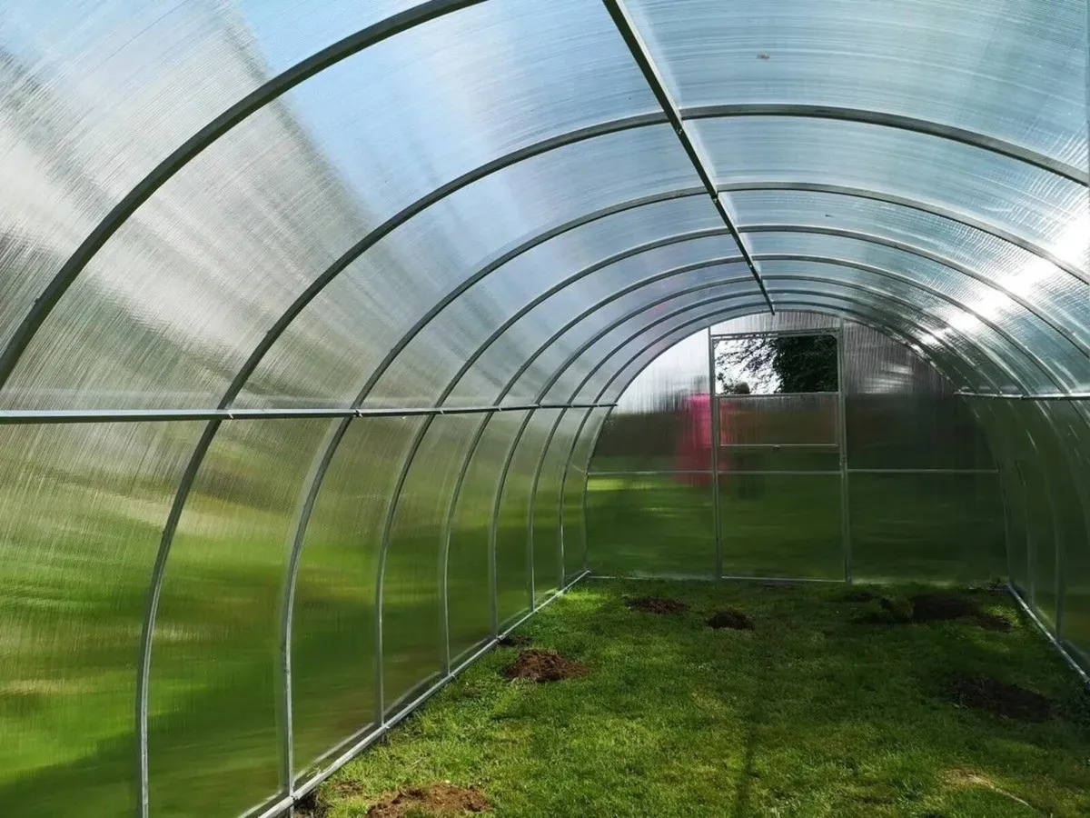SALE 15% AG Polycarbonate Greenhouse/Polytunnel - Image 4