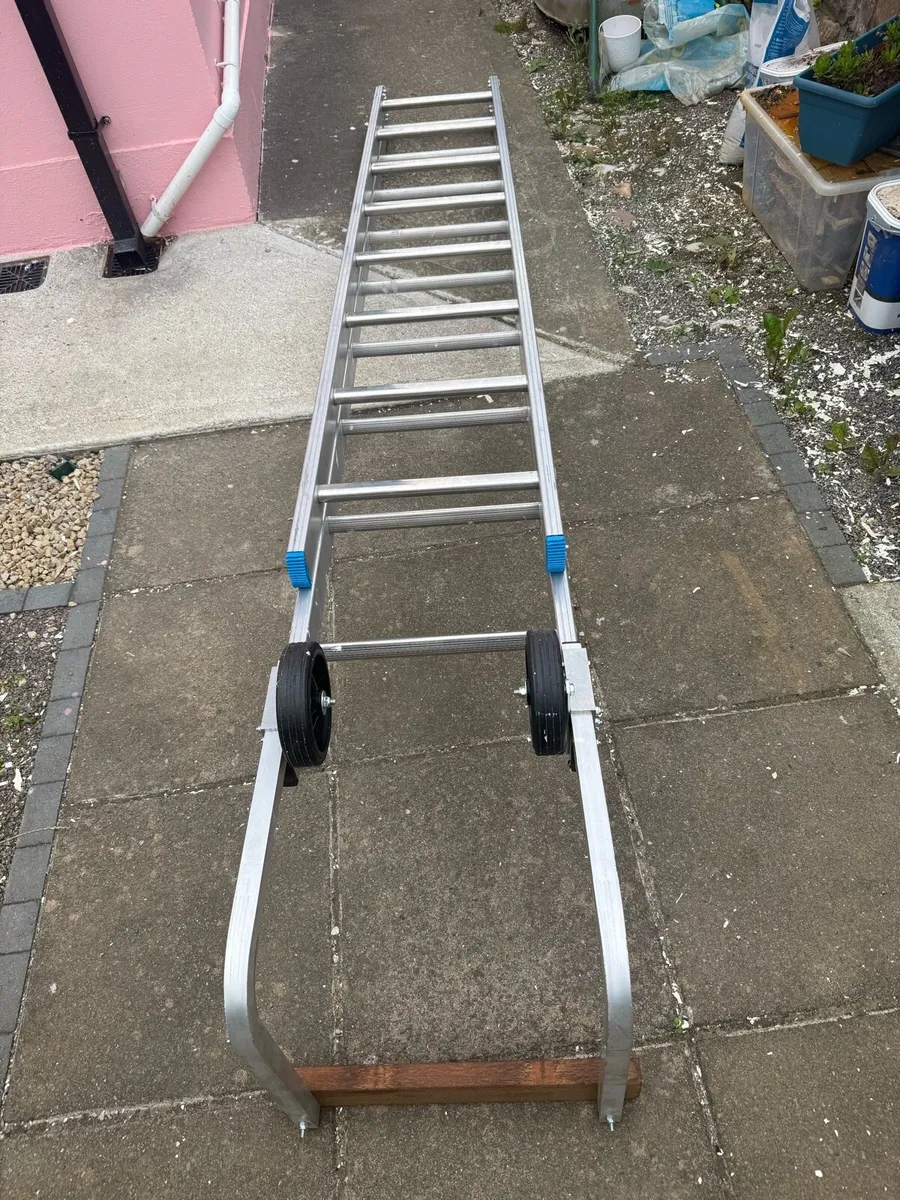 As Roof Ladder . 5 Days old. - Image 1