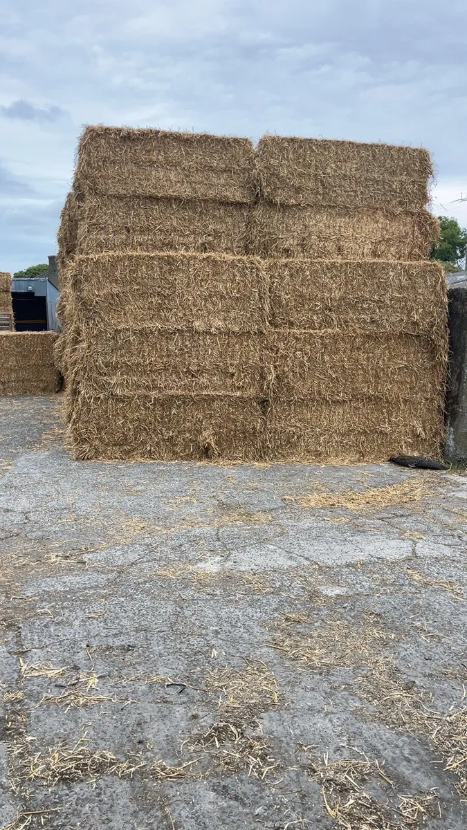 Wheat straw - Image 1