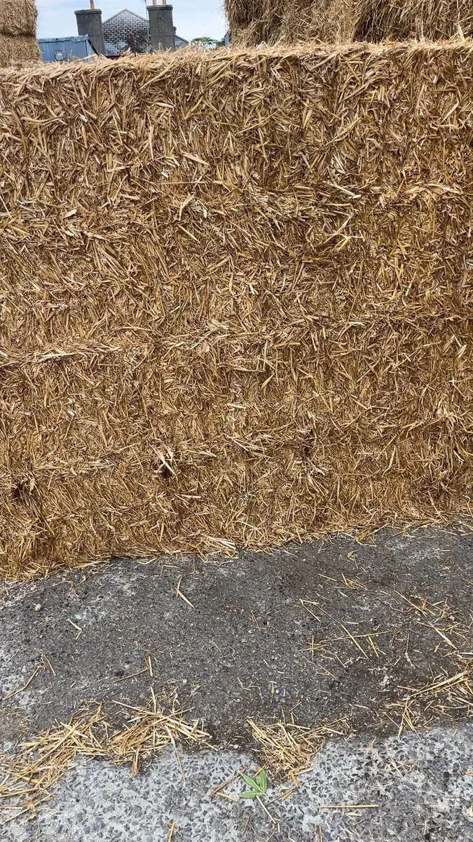 Wheat straw - Image 3