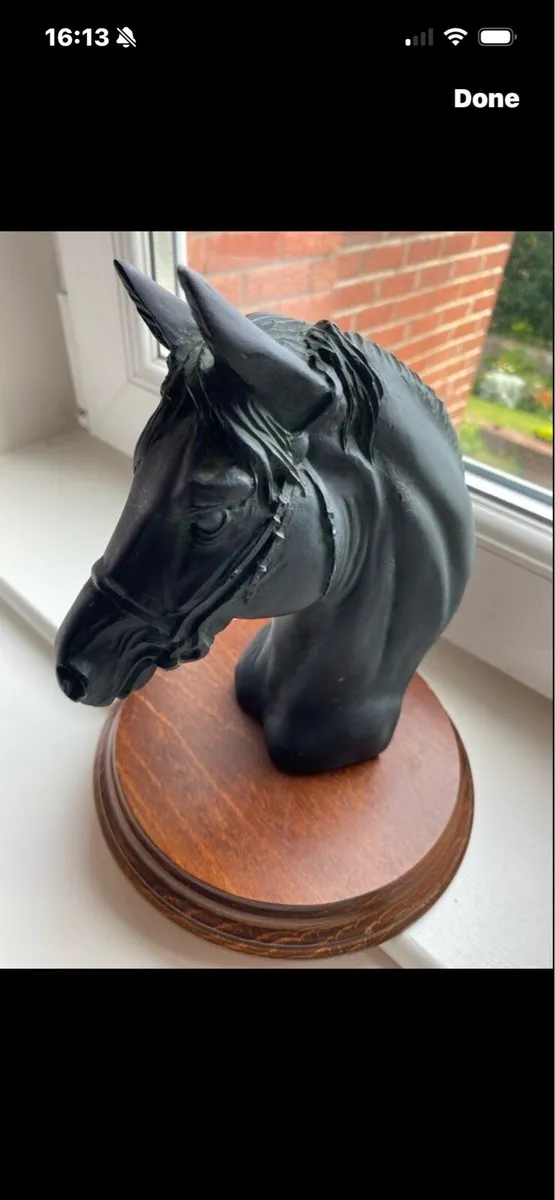 Vintage Horse Head Display - Image 1