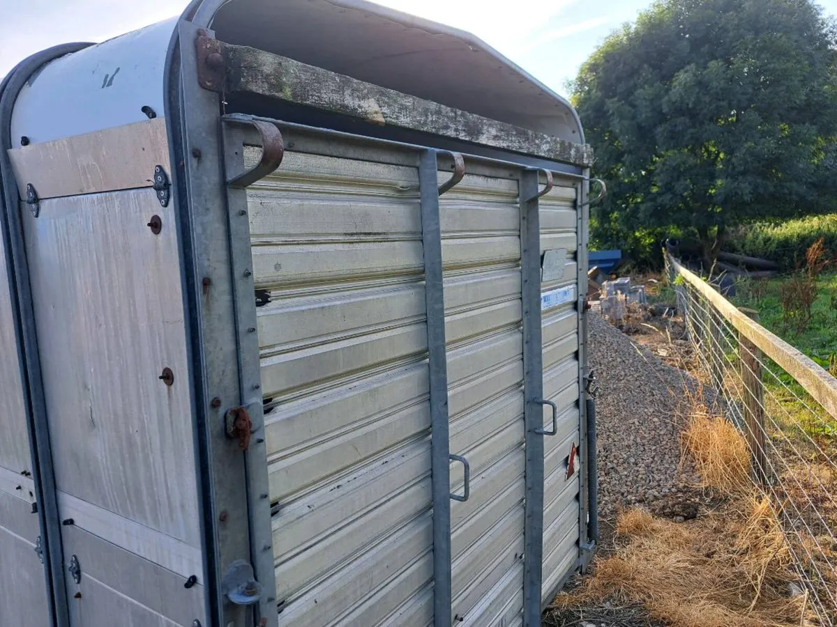 Ifor Williams cattle trailer - Image 4