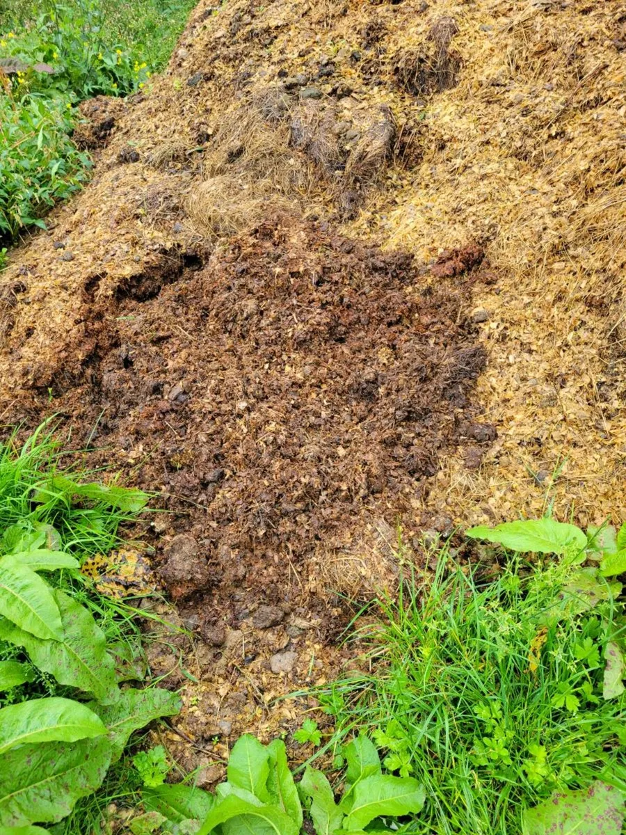 FREE Horse manure - Image 2