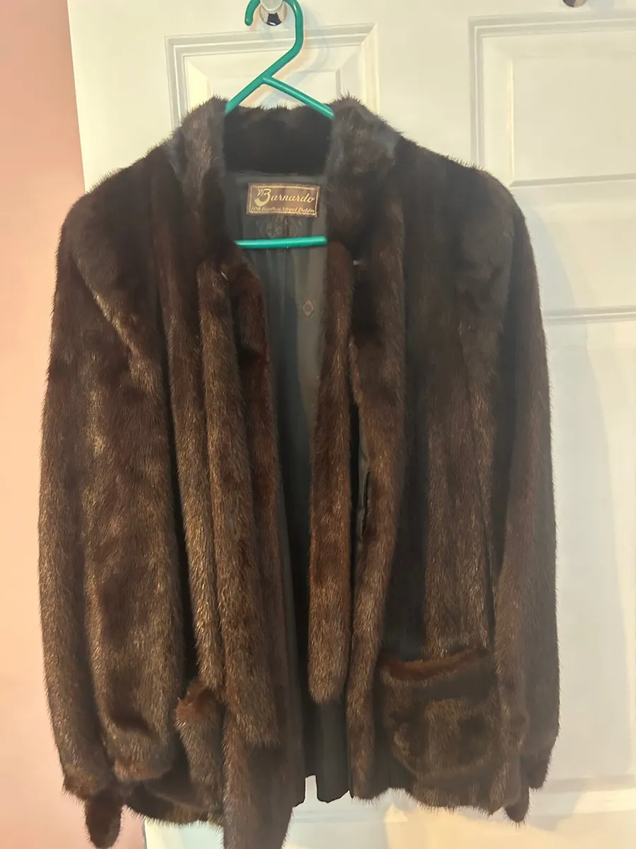 Mink Jacket and Stole - Image 1