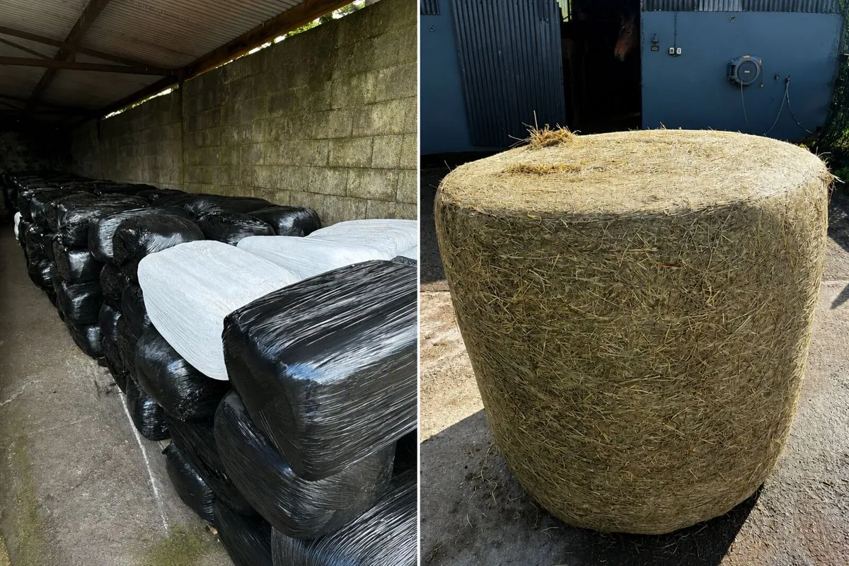 Premium Haylage - Image 1