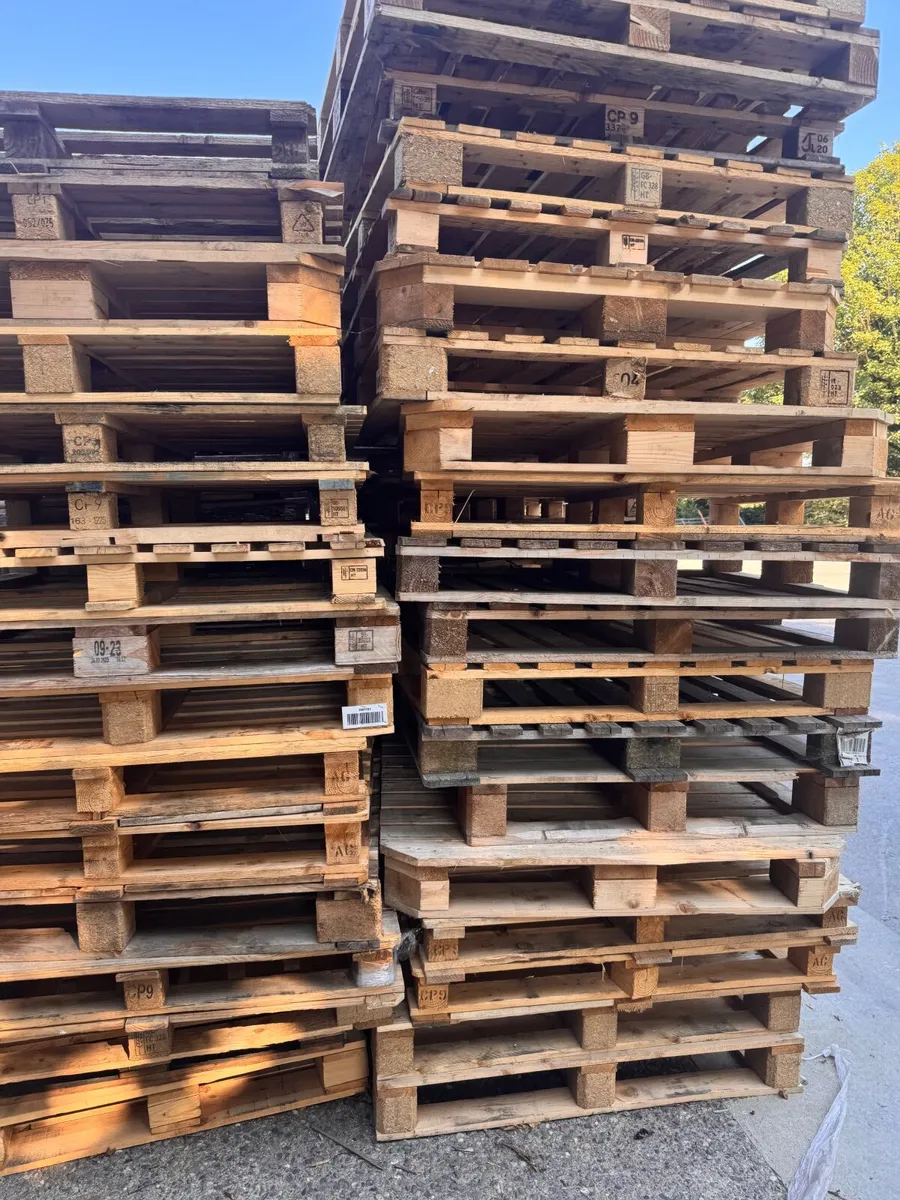 Timber pallets - Image 1