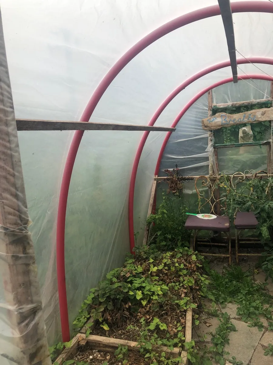 Polytunnel - Image 4