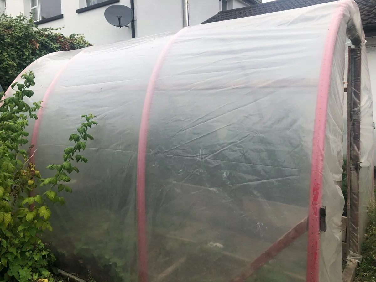 Polytunnel - Image 2