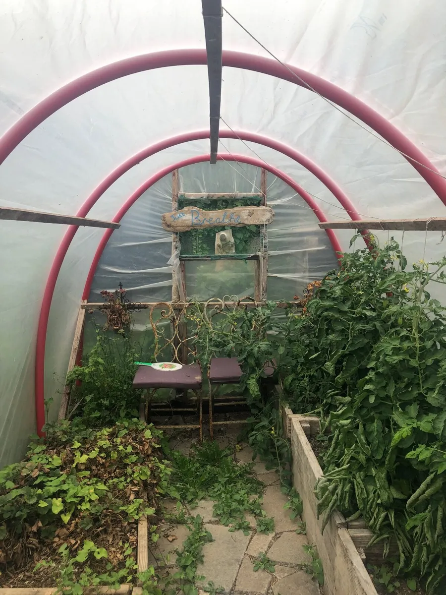 Polytunnel - Image 1