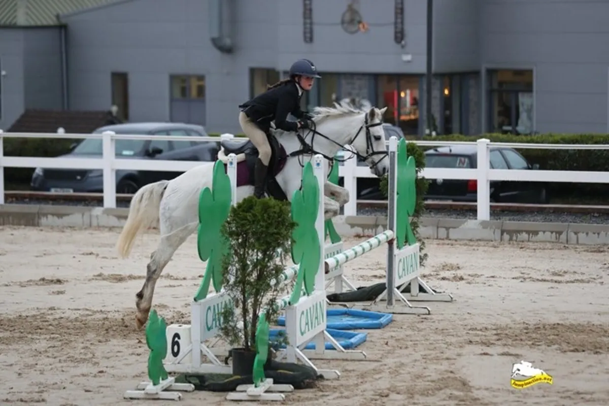 Super All Rounder and Competitive PC Pony - Image 3