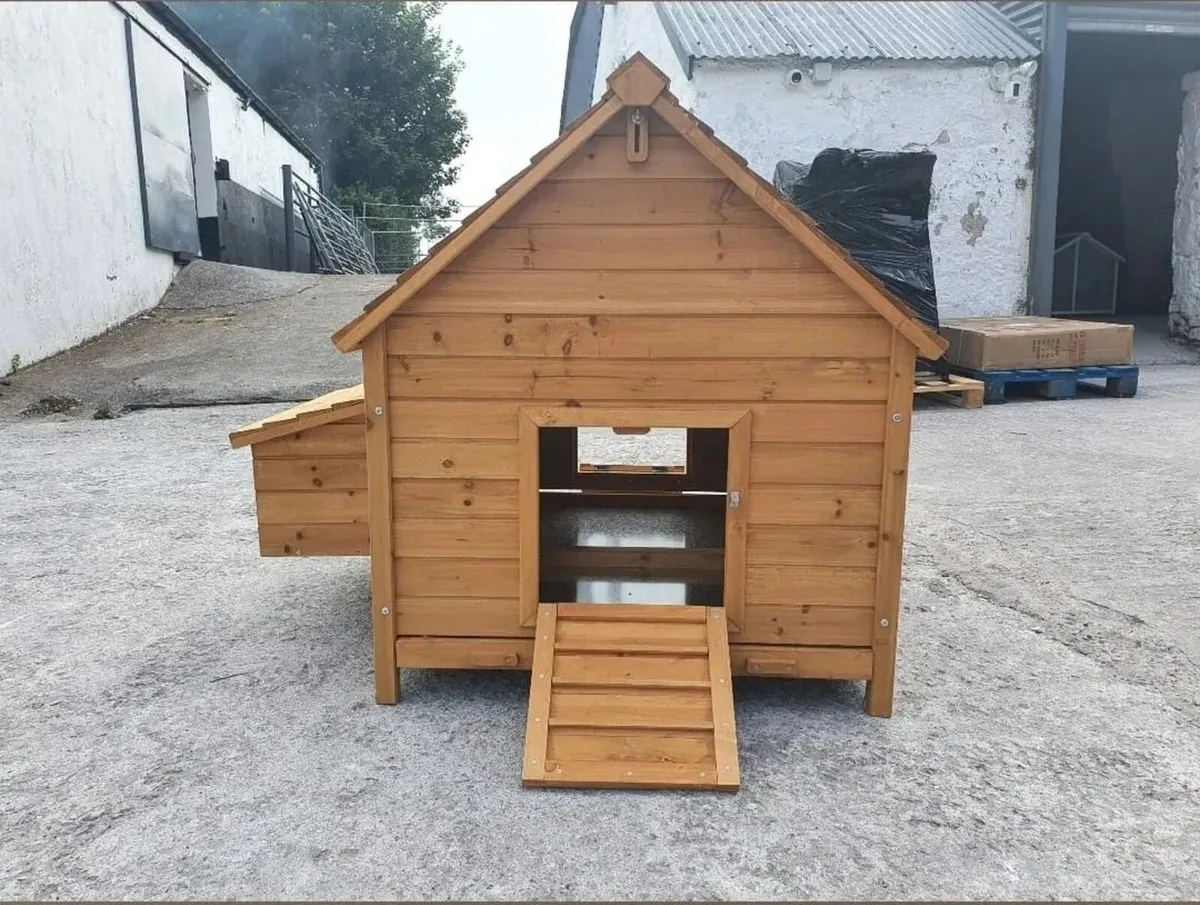 Chicken Coop – 6 -8 Birds – Natural Wood - Image 3