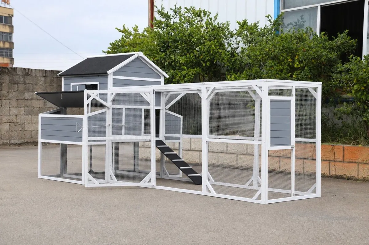 Coop Du Jour Chicken Coop – 6-8 Birds – Grey and W - Image 3