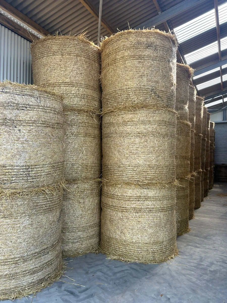 Round bales Spring Barley Straw