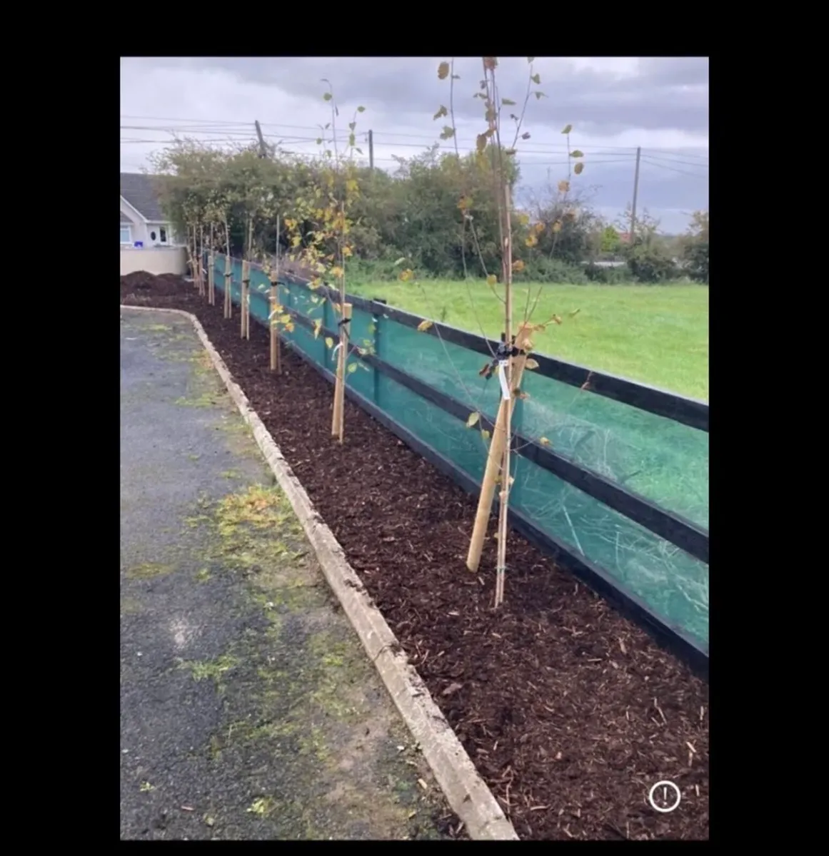 Cheap  new Garden netting - Image 1