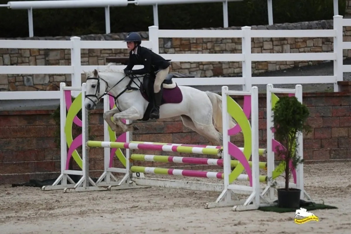 Super All Rounder and Competitive PC Pony - Image 4