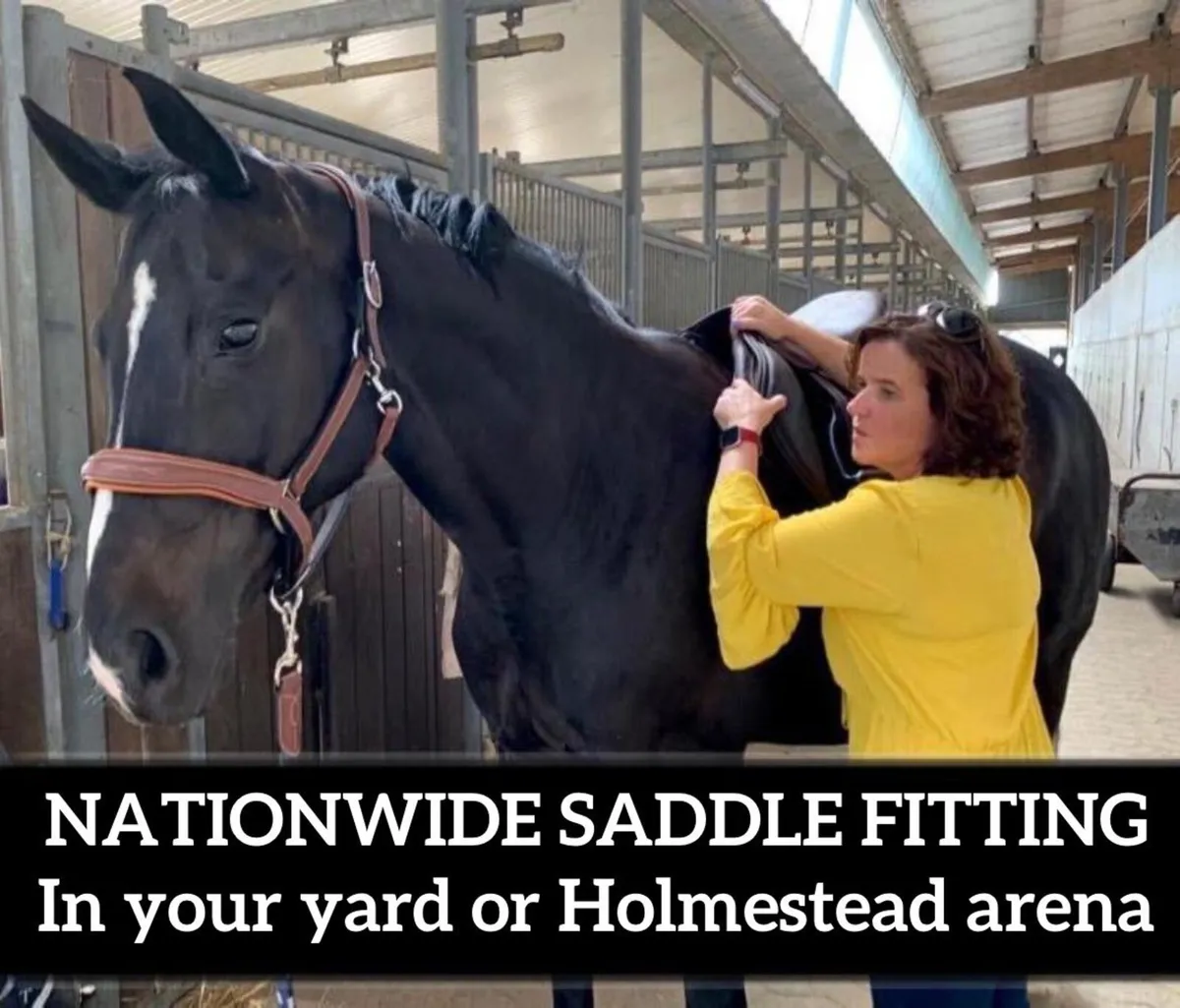 Saddle fitting Cork with Holmestead Saddlery - Image 3