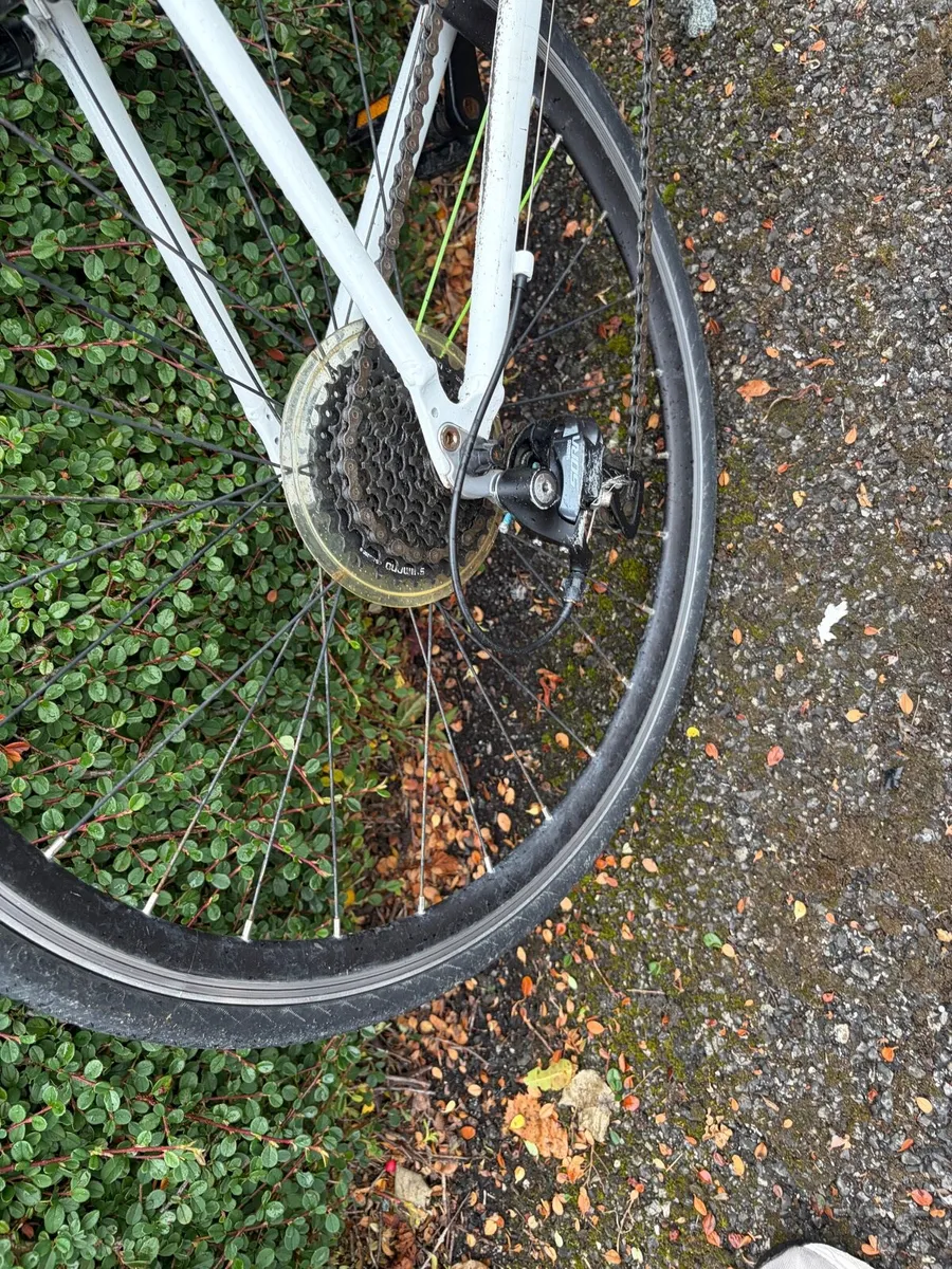Frog 70 road bike - Image 3