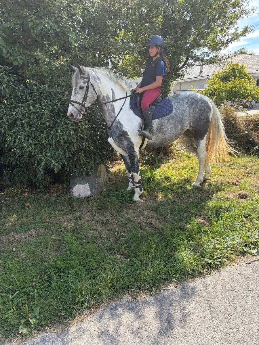 flashy 15 hand cob - Image 2