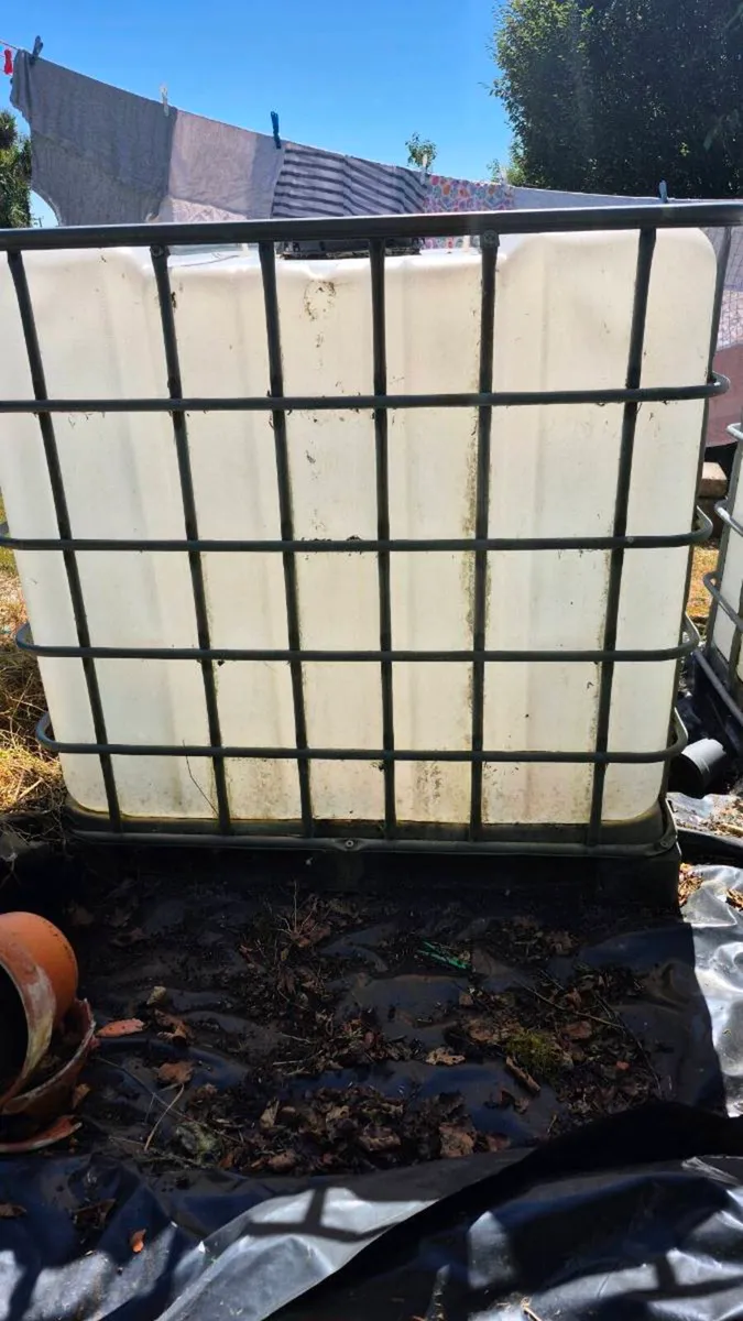 IBC tank - Image 2