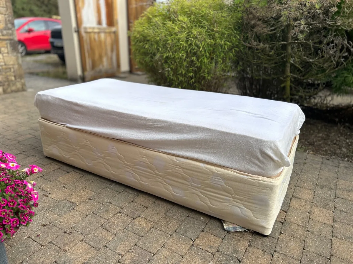 2 Single Beds with Mattresses- Can Sell separately - Image 1