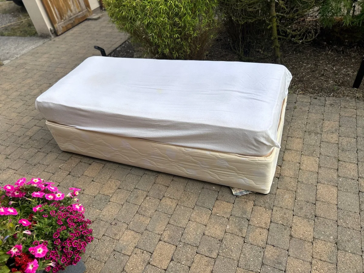 2 Single Beds with Mattresses- Can Sell separately - Image 2