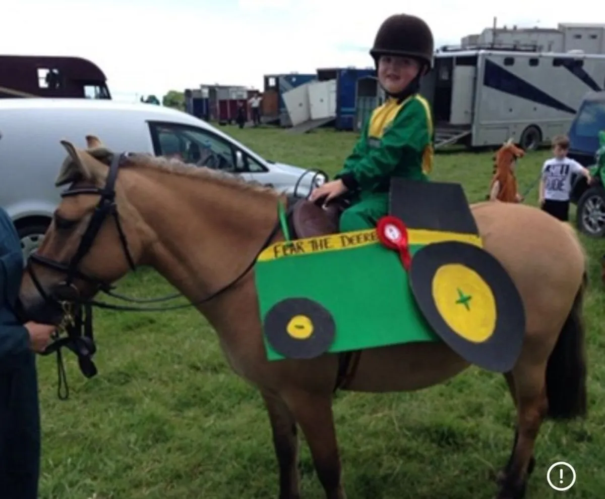 🌟 13h Pony Club Pony 🌟 - Image 3