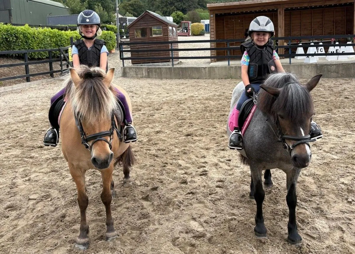 🌟 13h Pony Club Pony 🌟 - Image 4