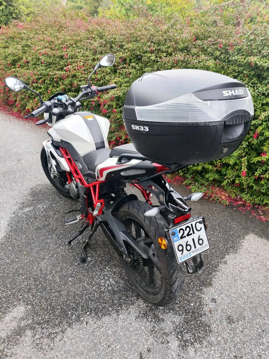Benelli Bn 125 - Image 2