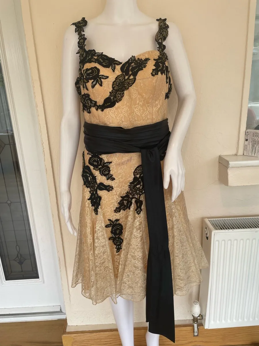 Vintage Glam Beaded Lace Cocktail Dress - Image 1