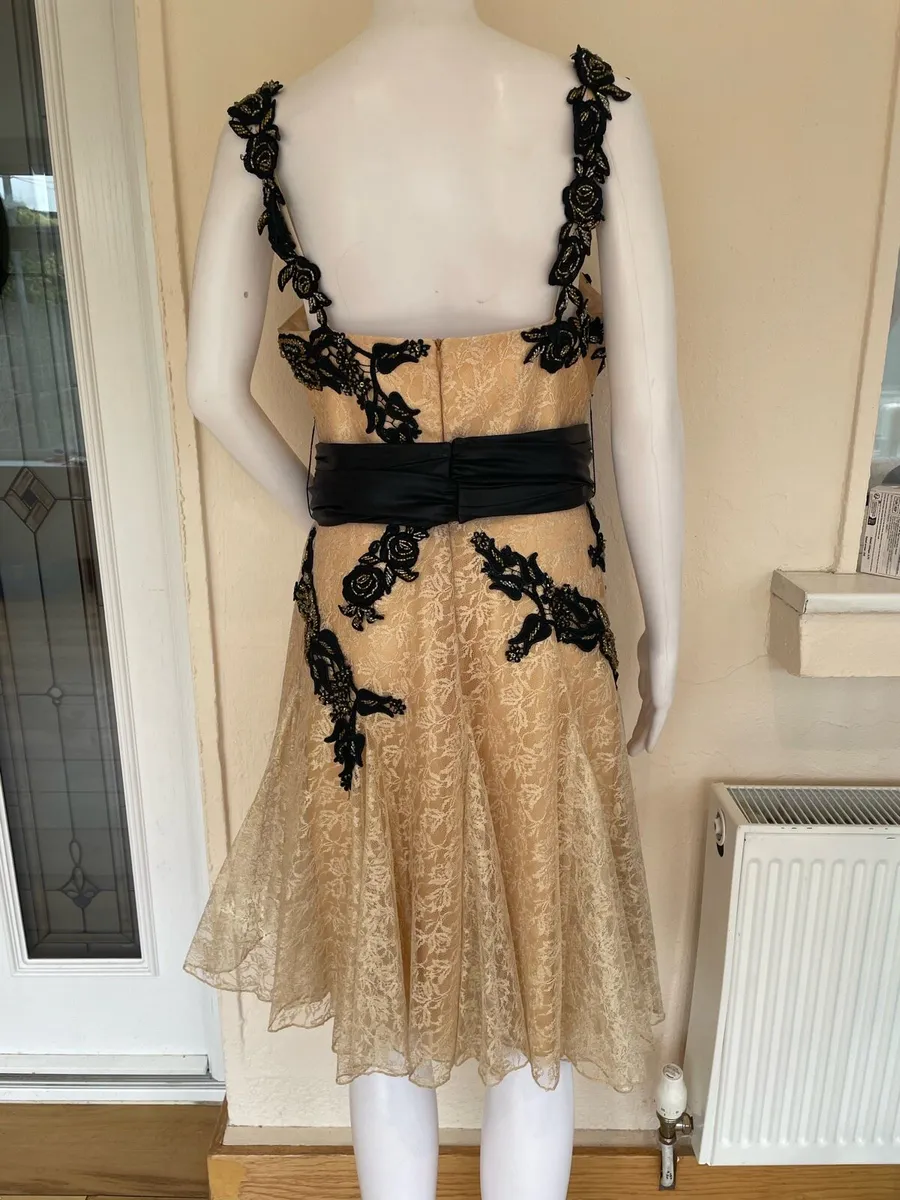 Vintage Glam Beaded Lace Cocktail Dress - Image 2
