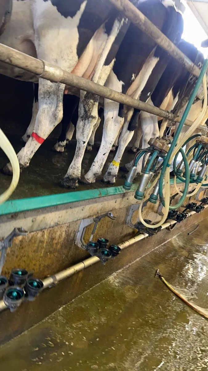 Relief Milker available Galway