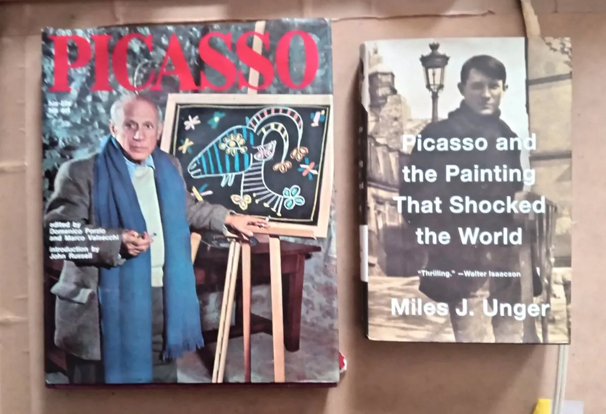 Two Picasso Books - Image 1