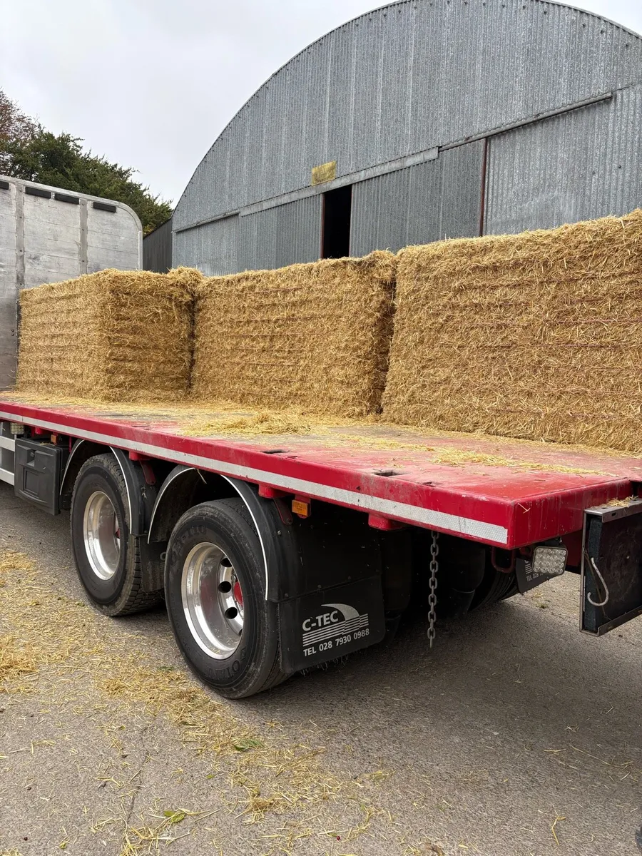 English Barley Straw - Image 2