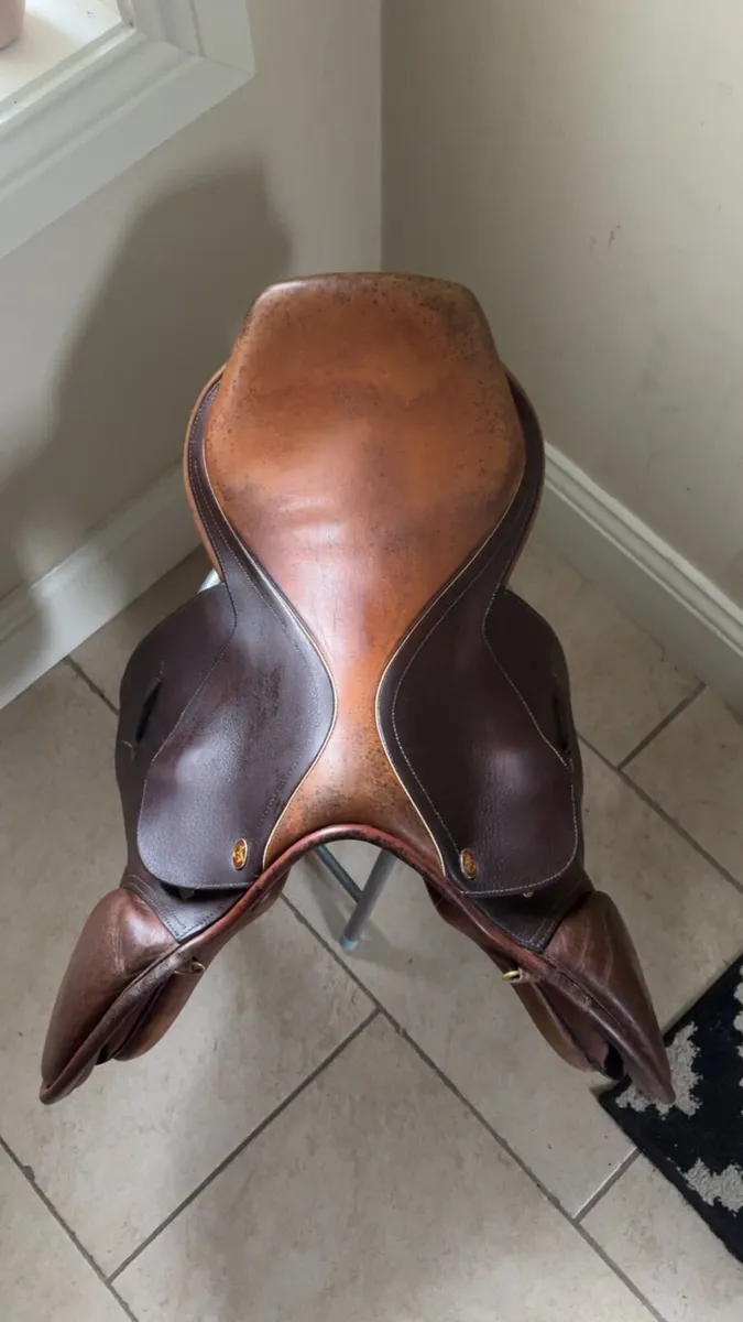 Eric Thomas saddle - Image 2