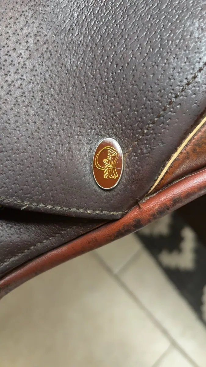 Eric Thomas saddle - Image 4
