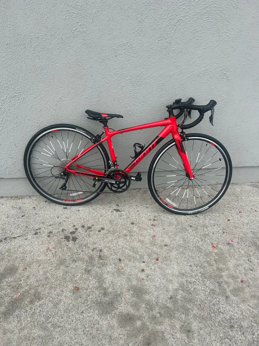 Giant contend 2 - Image 1