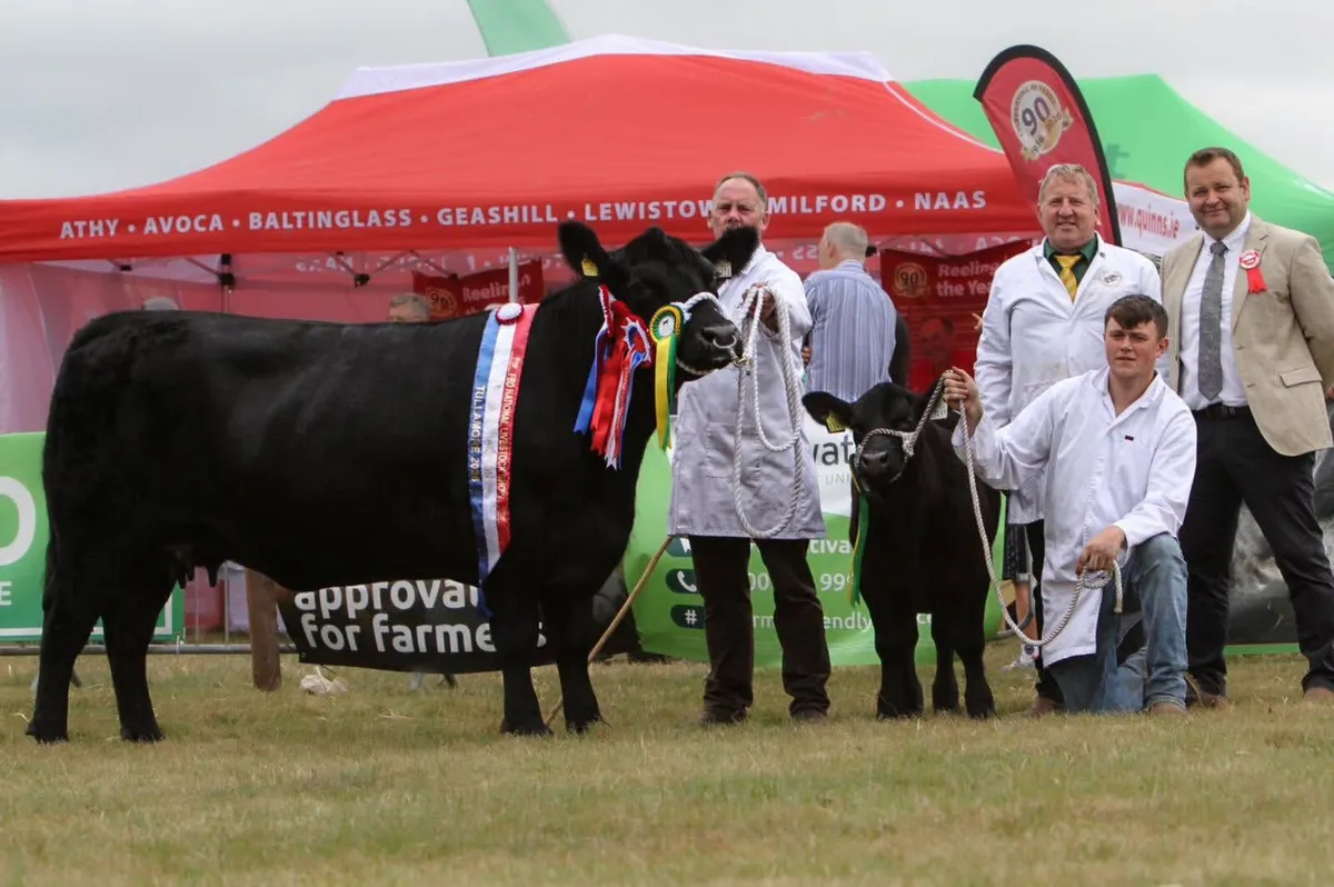 Lisduff Angus 26' Sale - Image 1