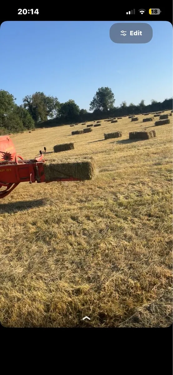 Small squares hay - Image 2