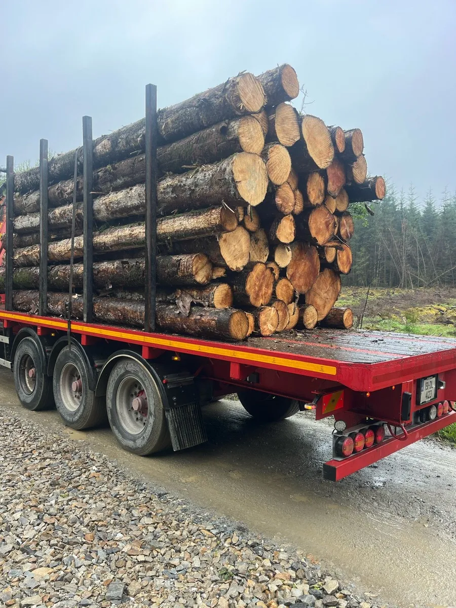 Flat timber trailer - Image 1